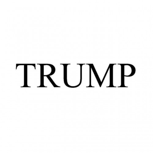 Trump Vinyl Decal Sticker 69269.1507851721