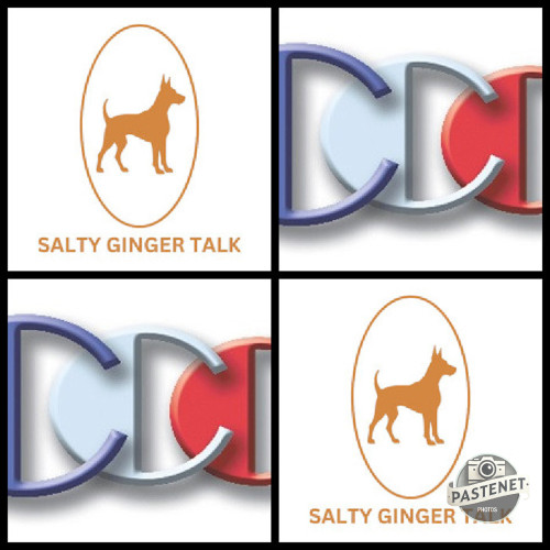 Salty-Ginger-Talk-Interview-guest-expert-Richard-Blank-Costa-Ricas-Call-Center..jpg