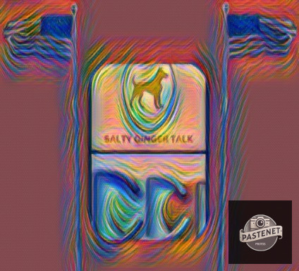 Salty-Ginger-Talk-Interview-telemarketing-guest-Richard-Blank-Costa-Ricas-Call-Center..jpg