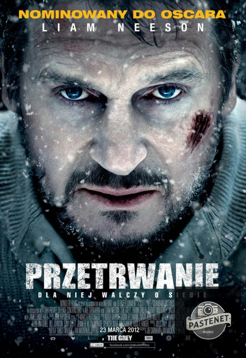 przetrwanie.jpg